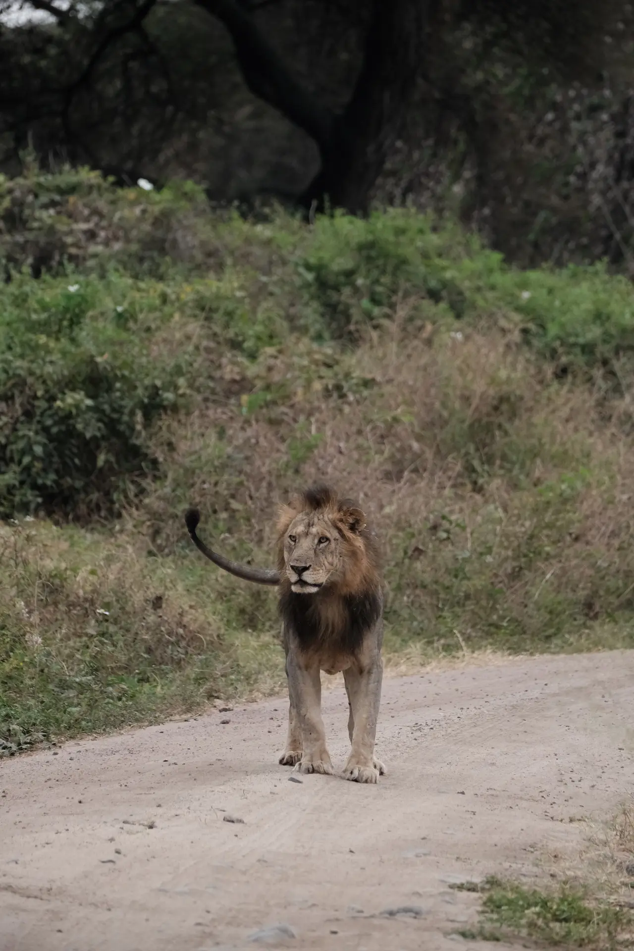 Lake Manyara National Park