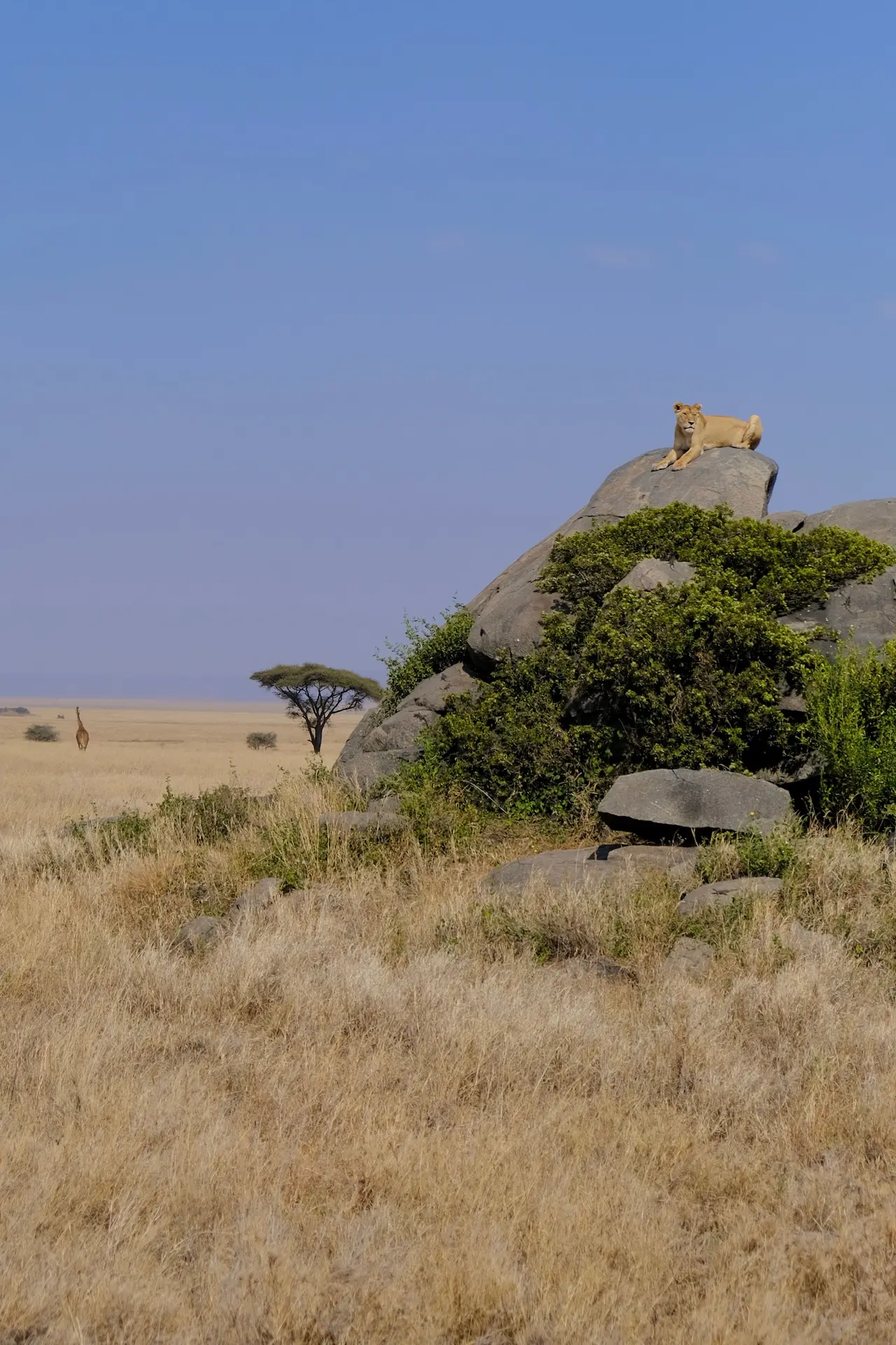 Tanzania inolvidable